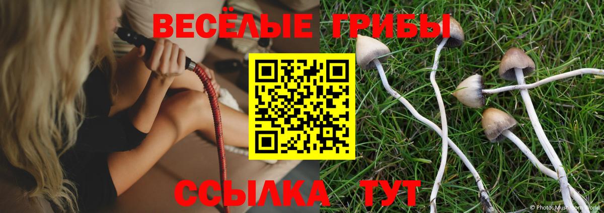 Алушта  Галлюциногенные грибы MAGIC MUSHROOMS  Вход с VPN 